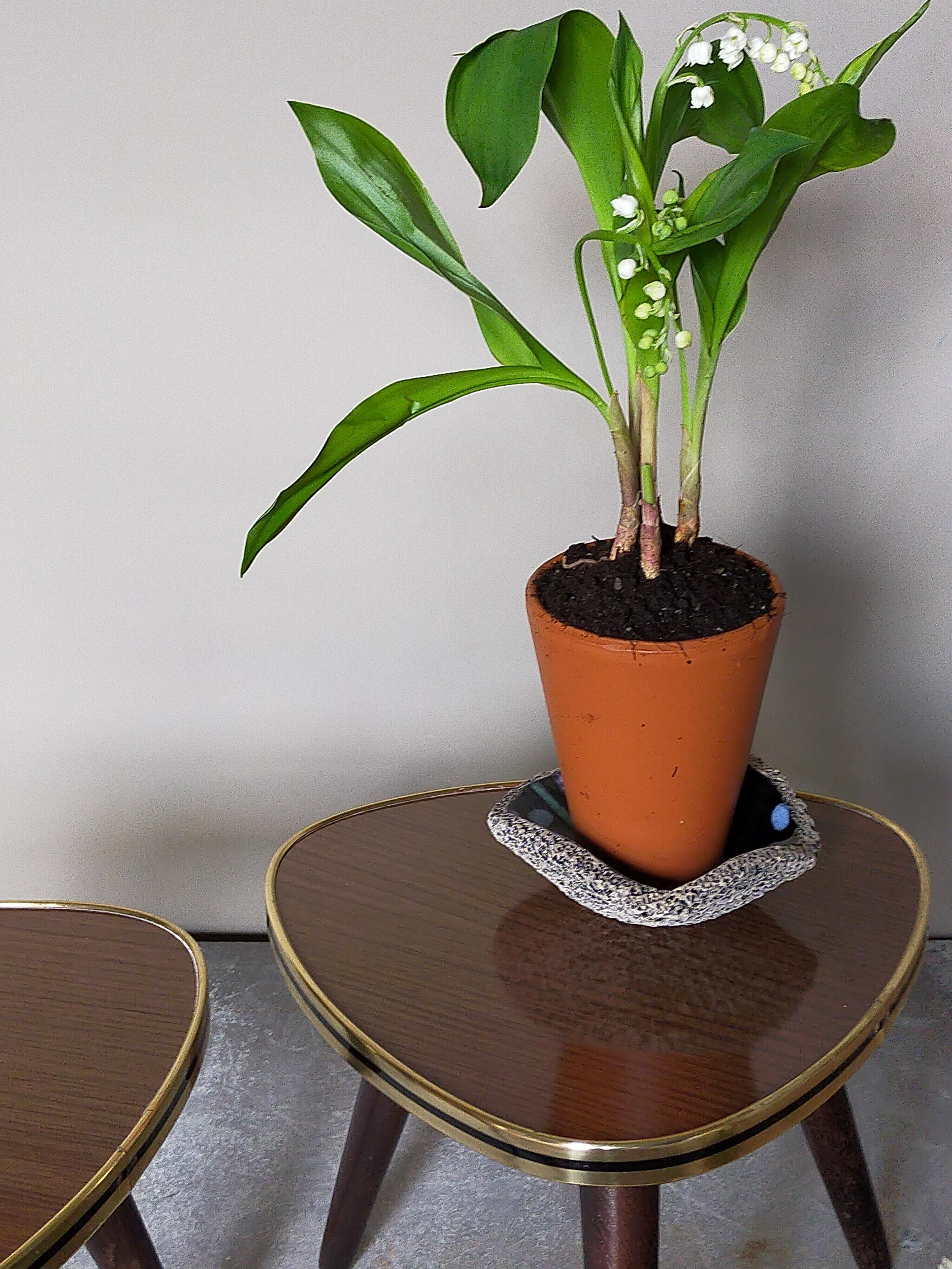 Pair of mini-seeded tripods 50s plant holder