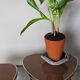 Pair of mini-seeded tripods 50s plant holder