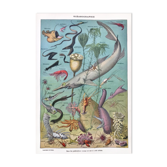 Ancient oceanography board