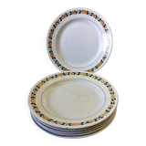 6 Villeroy & Boch dinner plates in good condition
