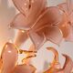 Pink lily spectacular Murano wall lamps by Franco Luce 1970