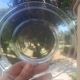 10 dessert plates in stamped Baccarat crystal
