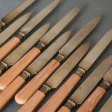 Suite of 12 dessert knives in gold metal blades