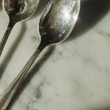 11 Reneka teaspoons
