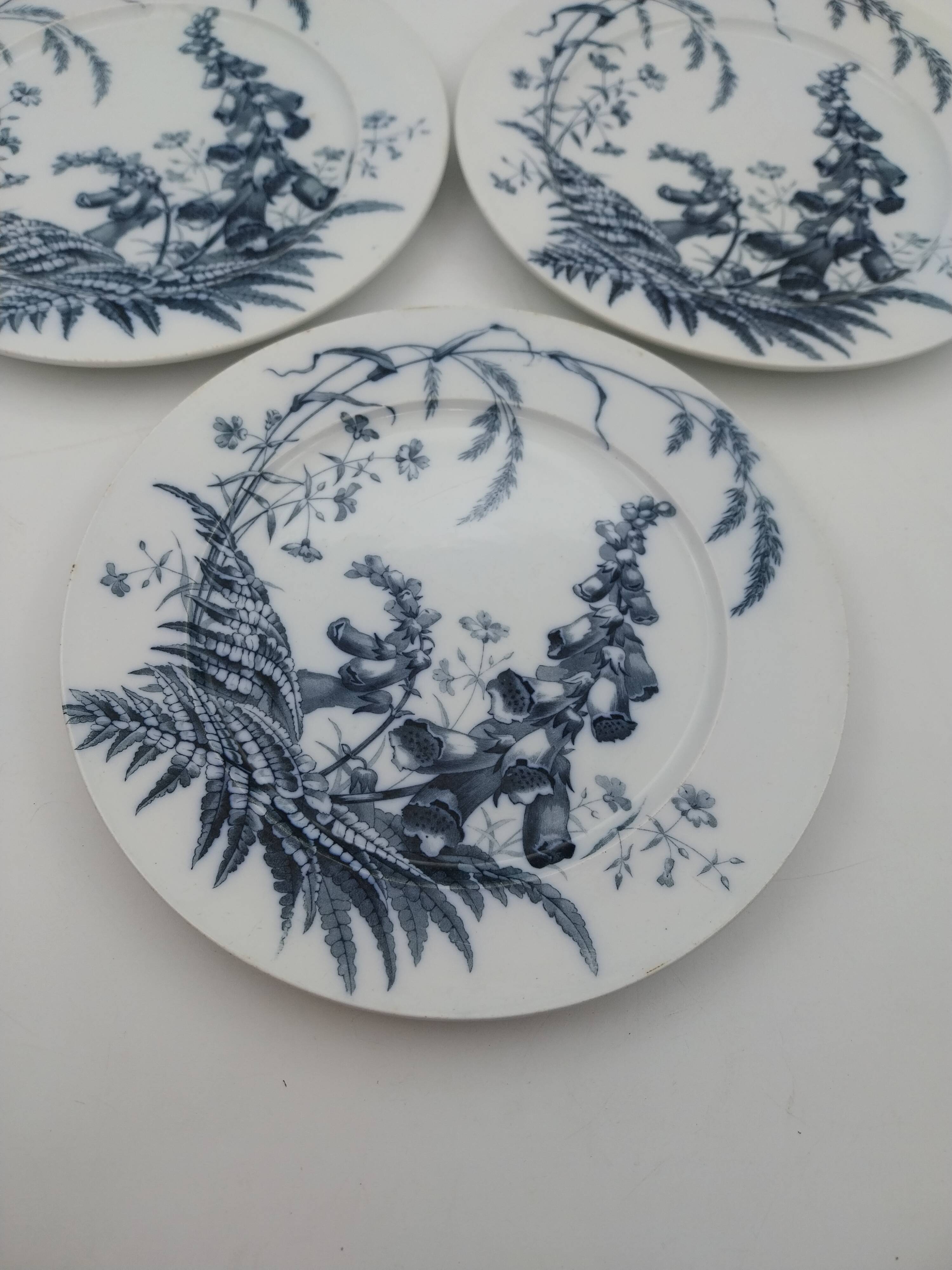 3 Brown Westhead Moore field flowers dinner plates