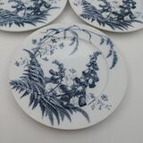 3 Assiettes plates Brown Westhead Moore field flowers