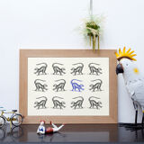 Lemur illustration 1850