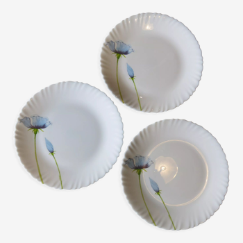 3 assiettes plate / plat de service de chez Luminarc