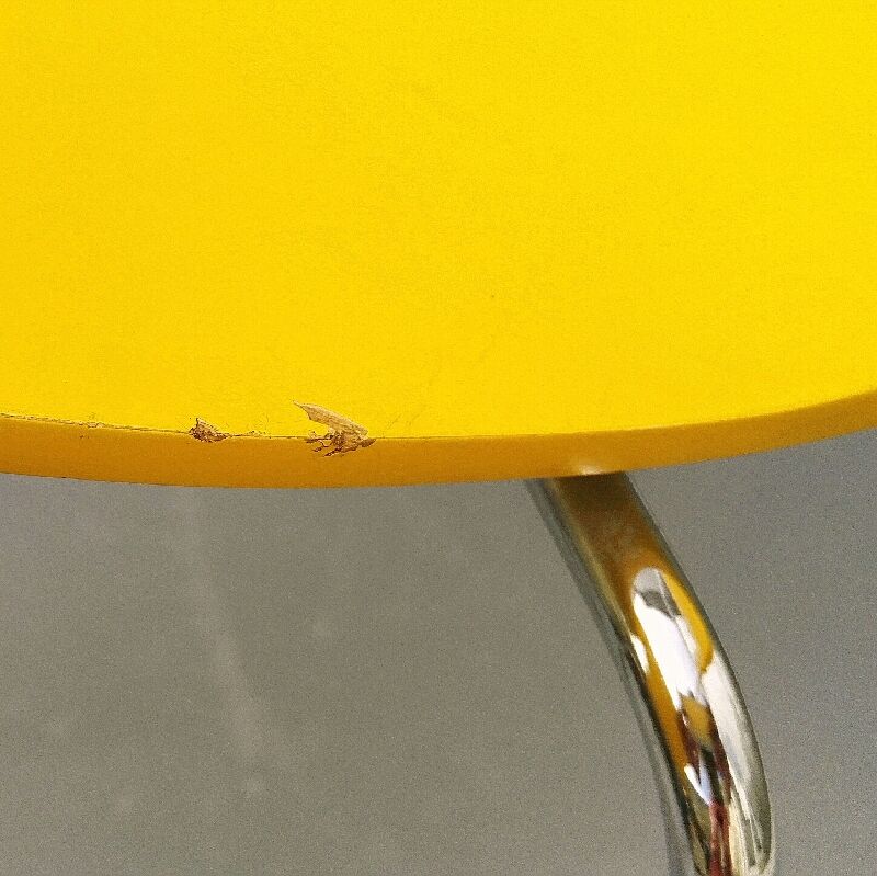 Pair of chairs Arne Jacobsen for Fritz Hansen edition 2001 yellow clove