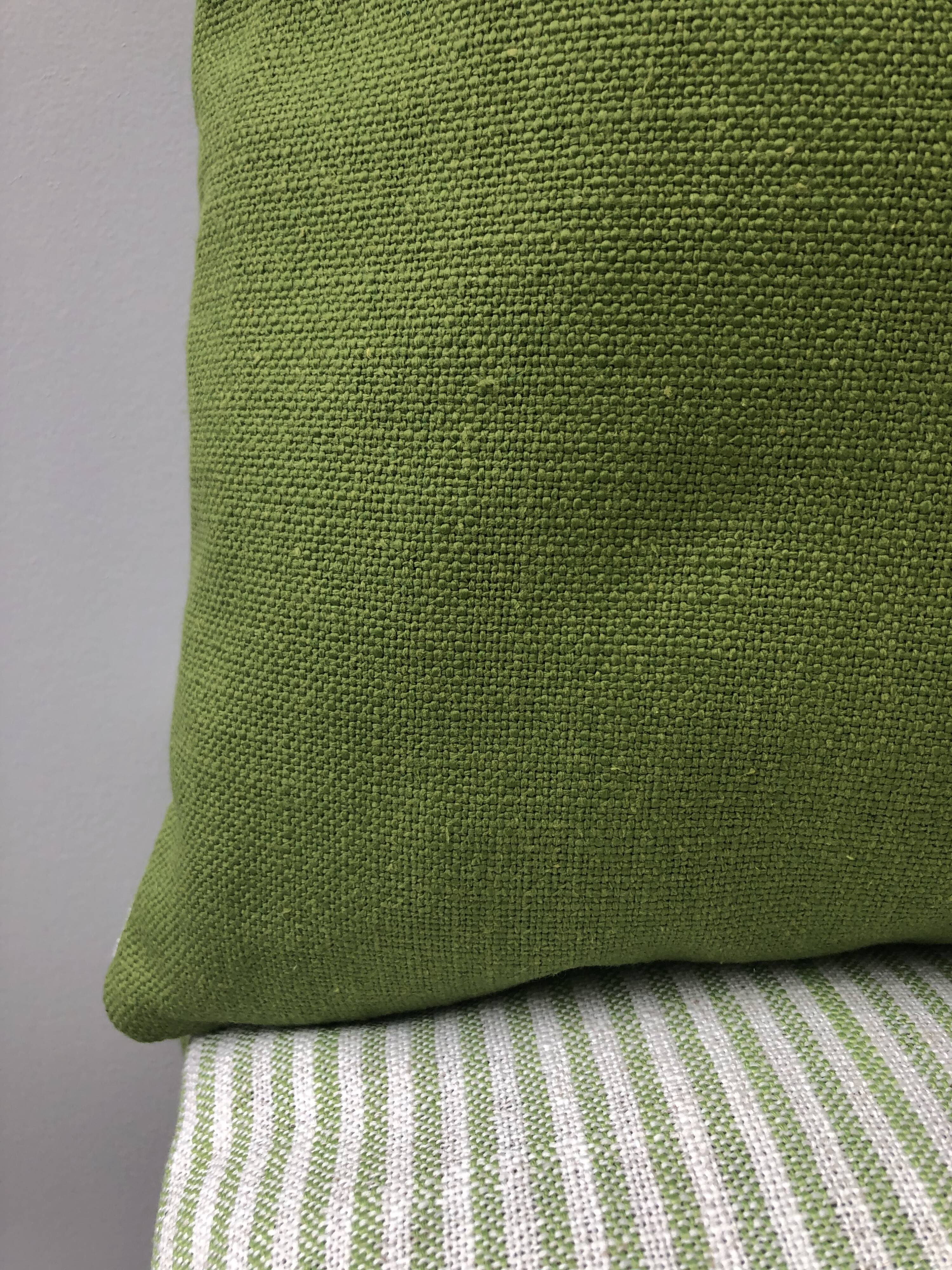 Designer Guild cushion