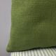 Designer Guild cushion