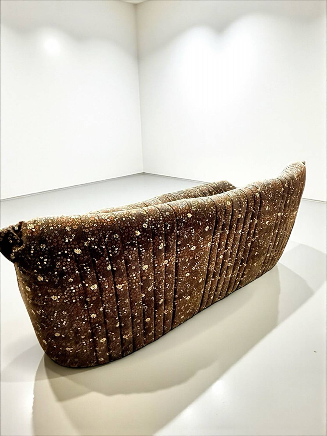 Salon complet ligne Roset Michel Ducaroy