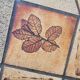 Capron Roger coffee table