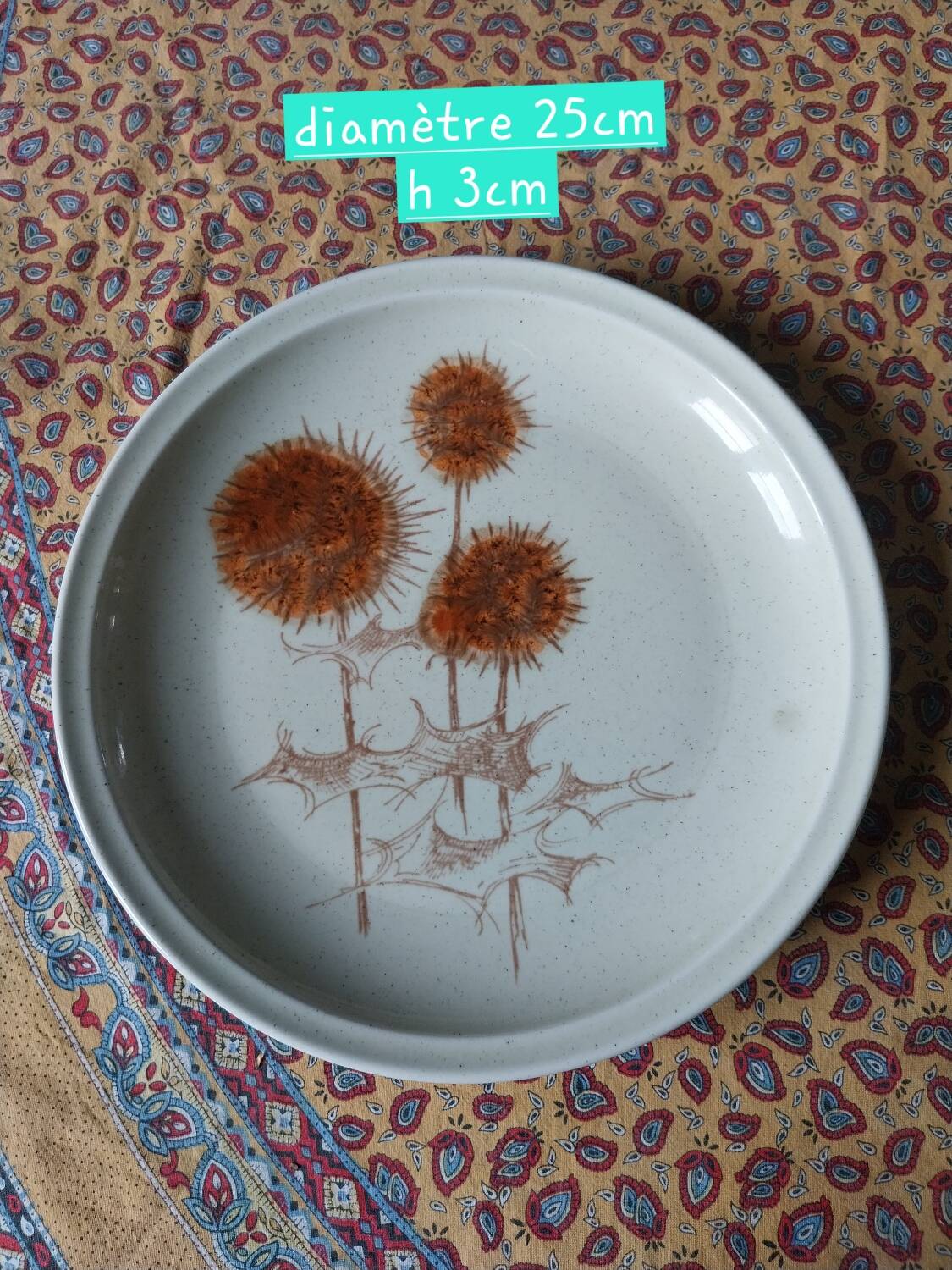 Stoneware plates Sarreguemines France