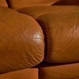 Light Warm Brown Leather Sofa Set