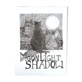 "Moonlight shadow" ink from China