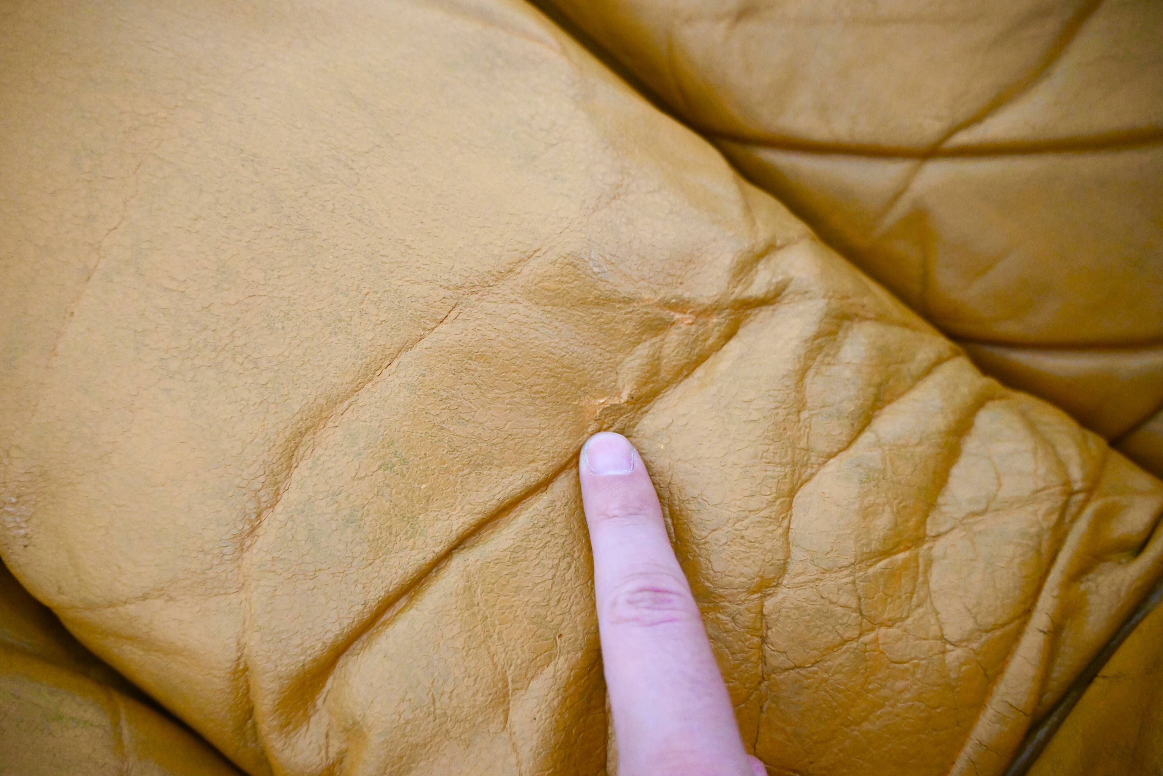 DS-600 sofa by Berger, Peduzzi, Vogt & Ulrich for De Sede, 1970s