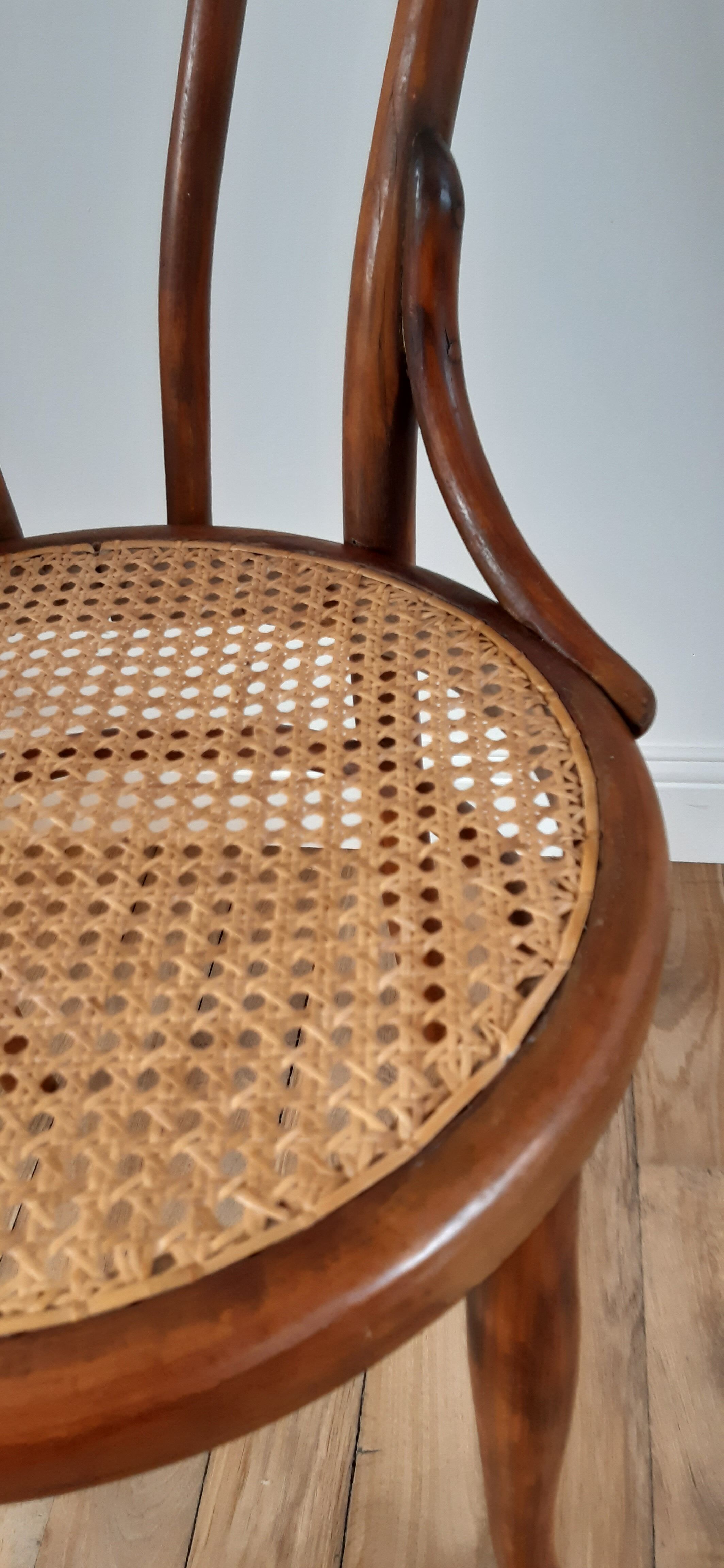 Chair in bentwood and canning XIXth