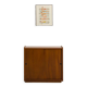 Shoe storage cabinet
