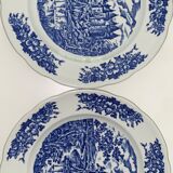 Set of 2 flat plates pyroblan blue