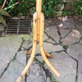 Bamboo coat holder