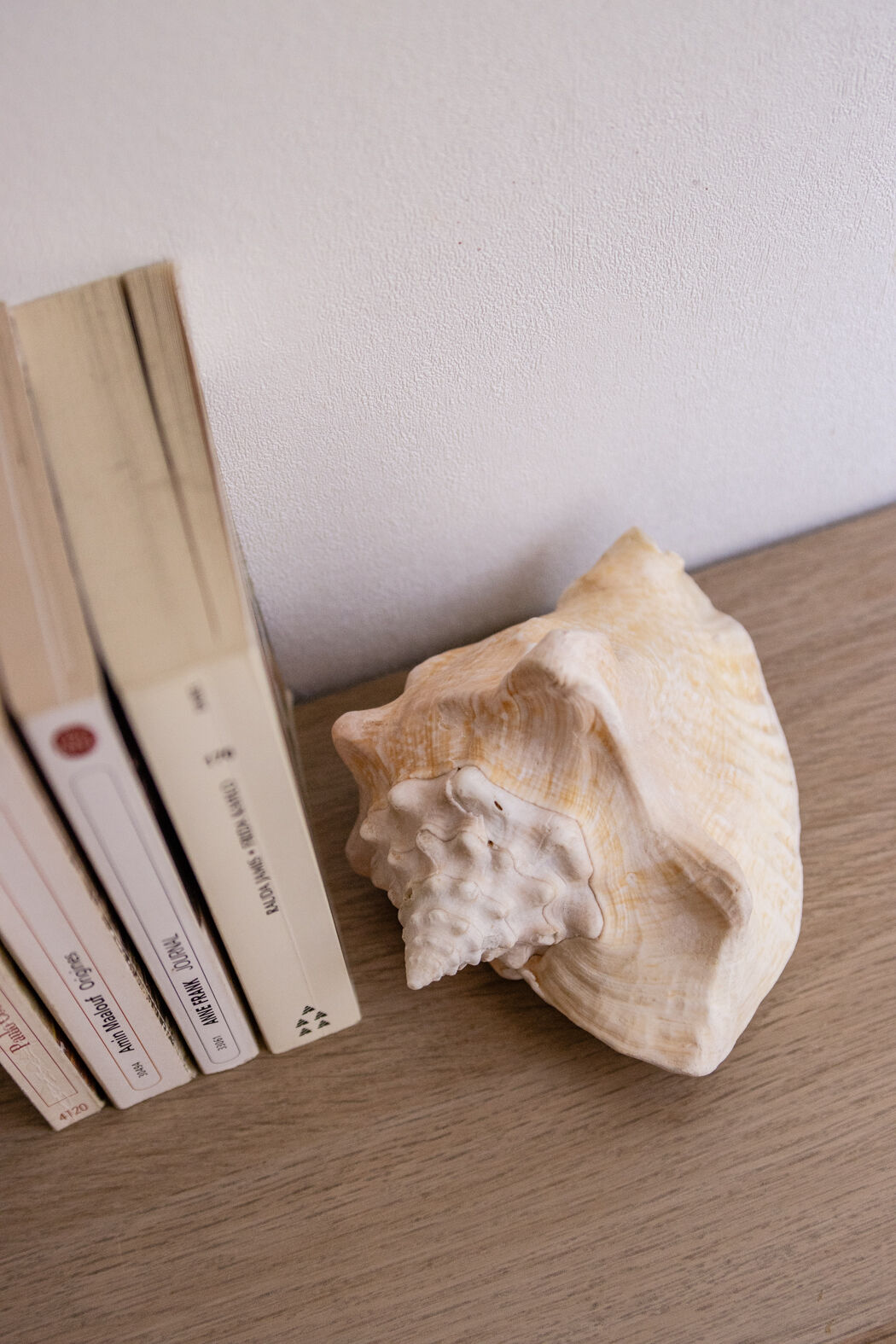 Shell