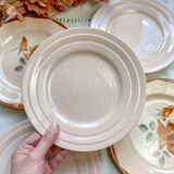 5 Small mismatched pink floral plates 1950 - DIGOIN SARREGUEMINES