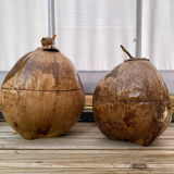 Pair of coconut ice buckets