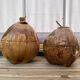 Pair of coconut ice buckets