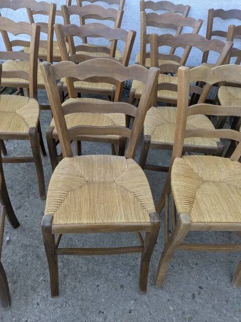 Pair of rush-seated chairs