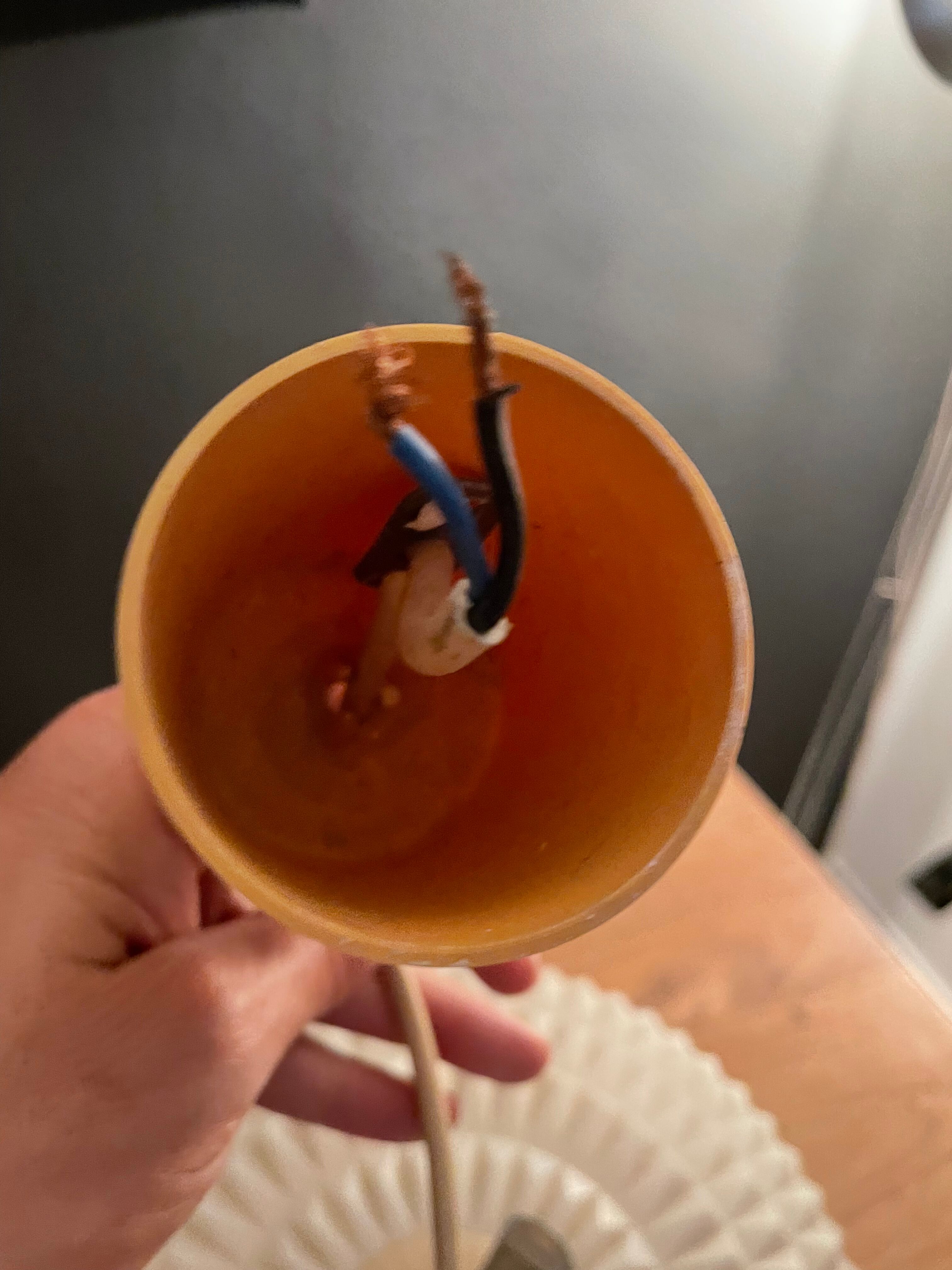 Vintage Rhodoid pendant lamp