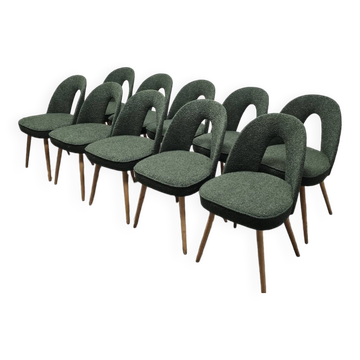 Dining Chairs by Antonin Suman, 1960s, Set of 10