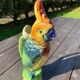 Pitcher Parrot Slip St Clement