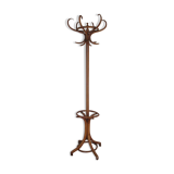 Fishel bistro parrot