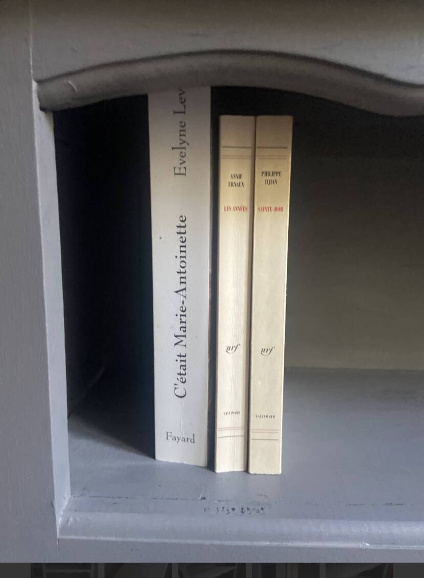 Bibus beech bookcase renovated in gray