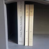Bibus beech bookcase renovated in gray