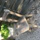 Chaise de jardin