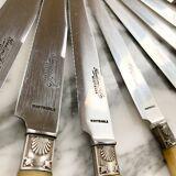 Series of horn knives