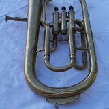 Trumpet cornet ancient margaritas