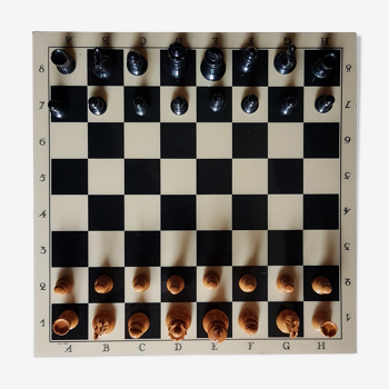 Chess game trays and coins