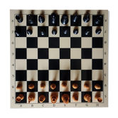 Chess game trays and coins
