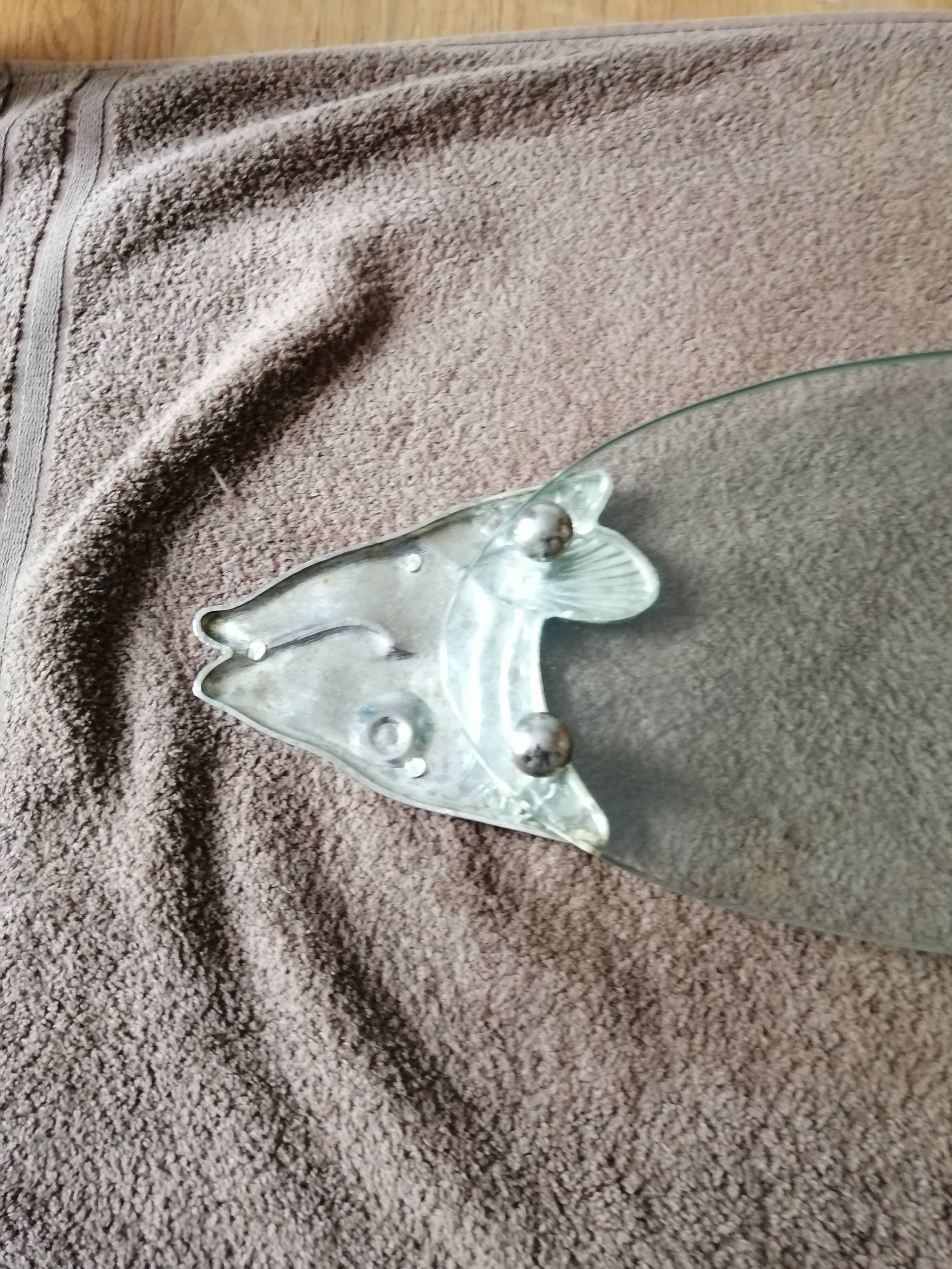 Serving plate for salmon fish dish silver plate and thick glass tray