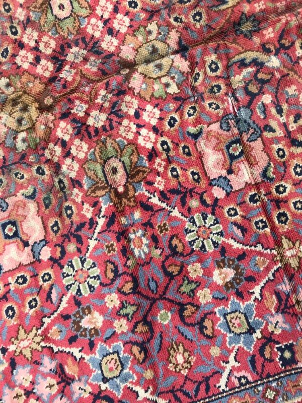 Old french carpet knotted 253 x 353 cm