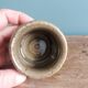Signed stoneware mustard pot