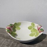 Ceramic fruit slip salad bowl