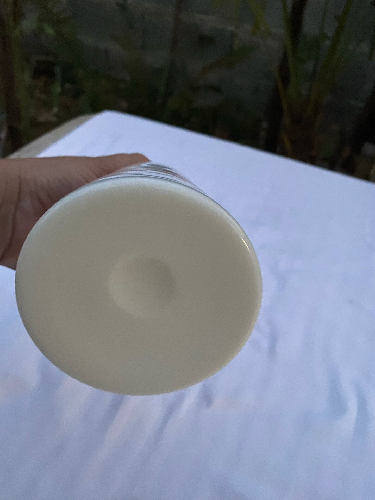 Vintage Soliflore in White Opaline with Feather Motif — Blown Glass (Pon
