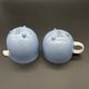 Rosenthal Century – Tapio Wirkkala – Pastel blue cup and milk jug –