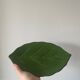 Ceramic dish/bowl in the shape of a lemon fruit and its decorative leaf