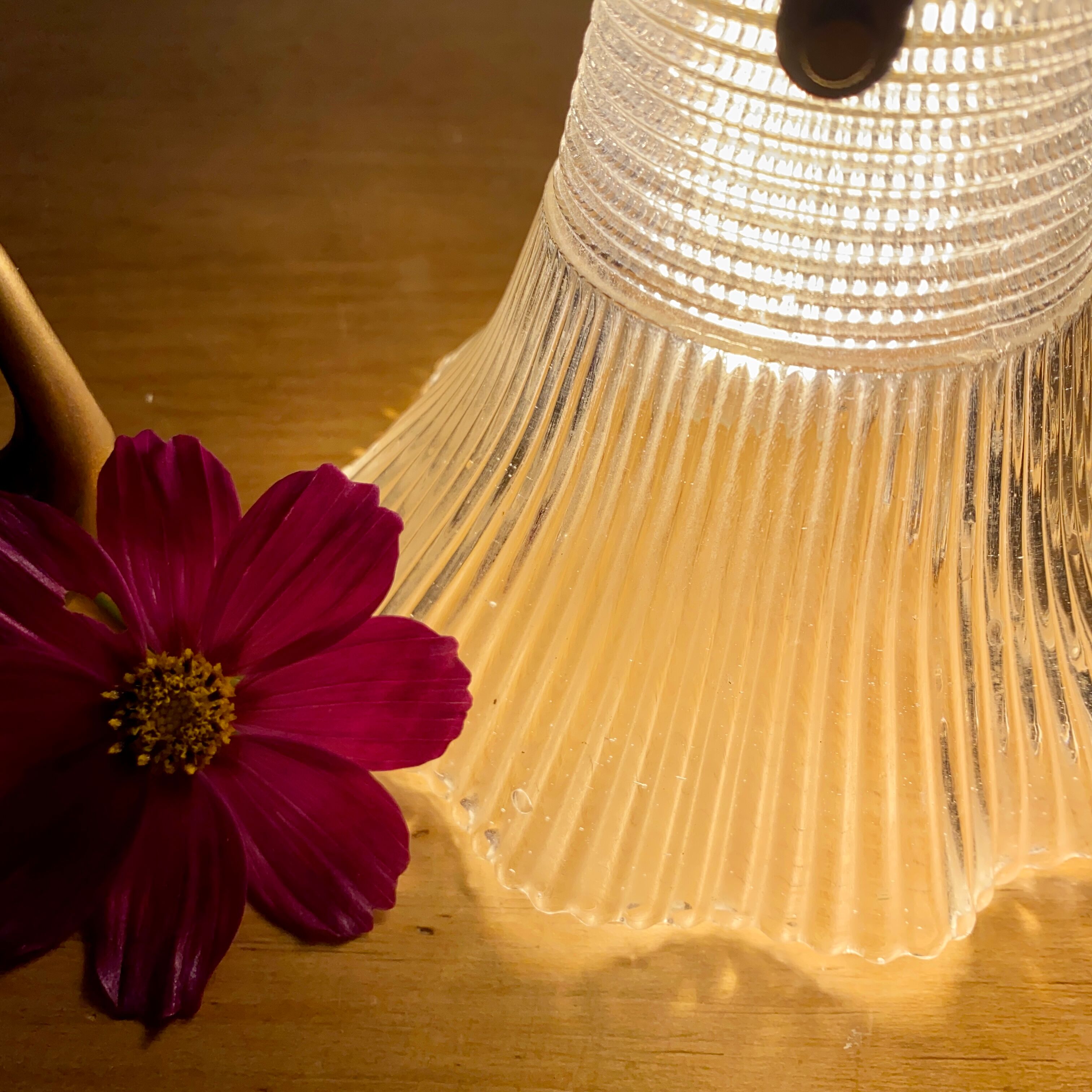 Vintage tulip walker in holophanous glass