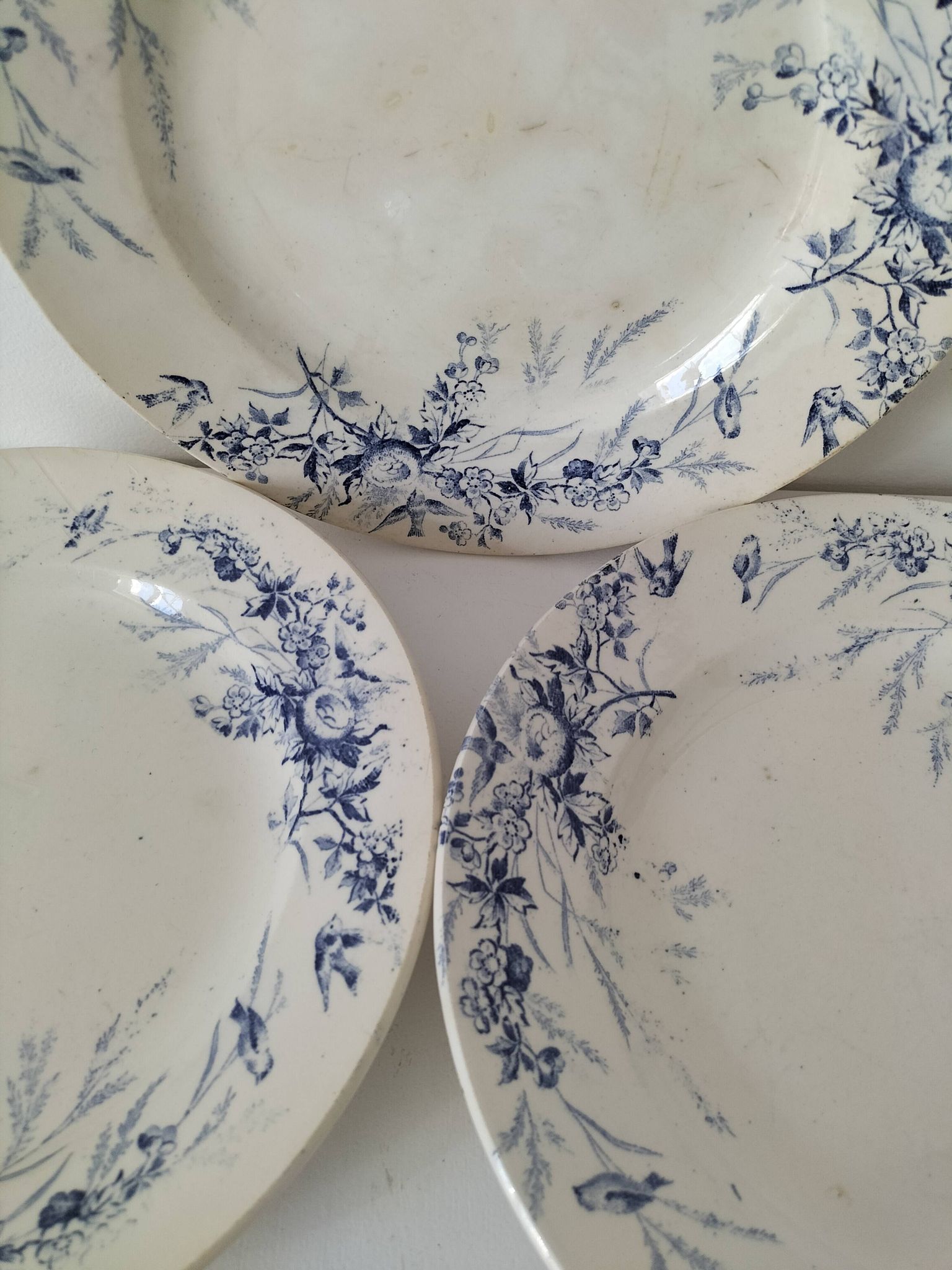 Assiettes Creil Montereau Modèle Linotte